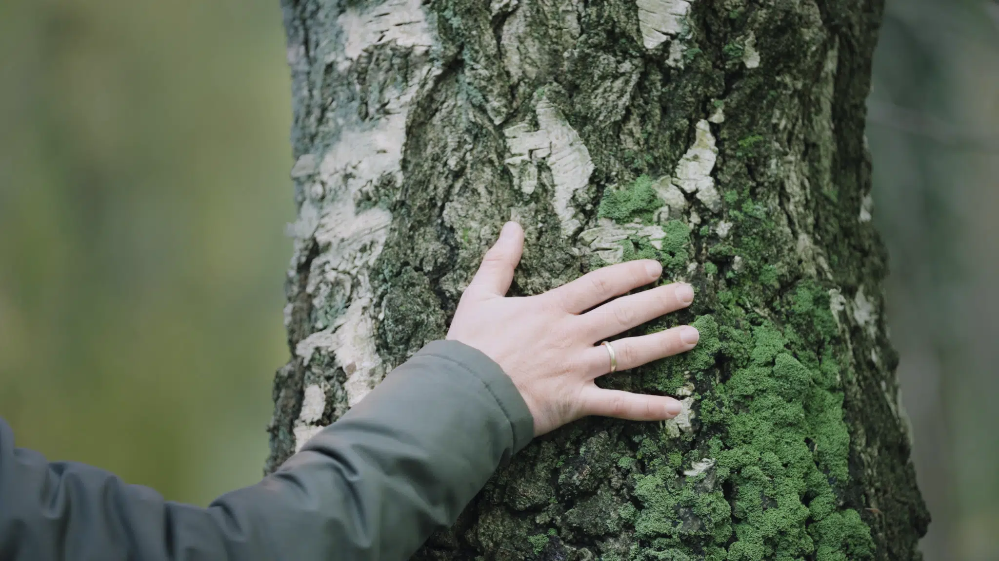 vlcsnap-2023-11-28-19h49m21s308