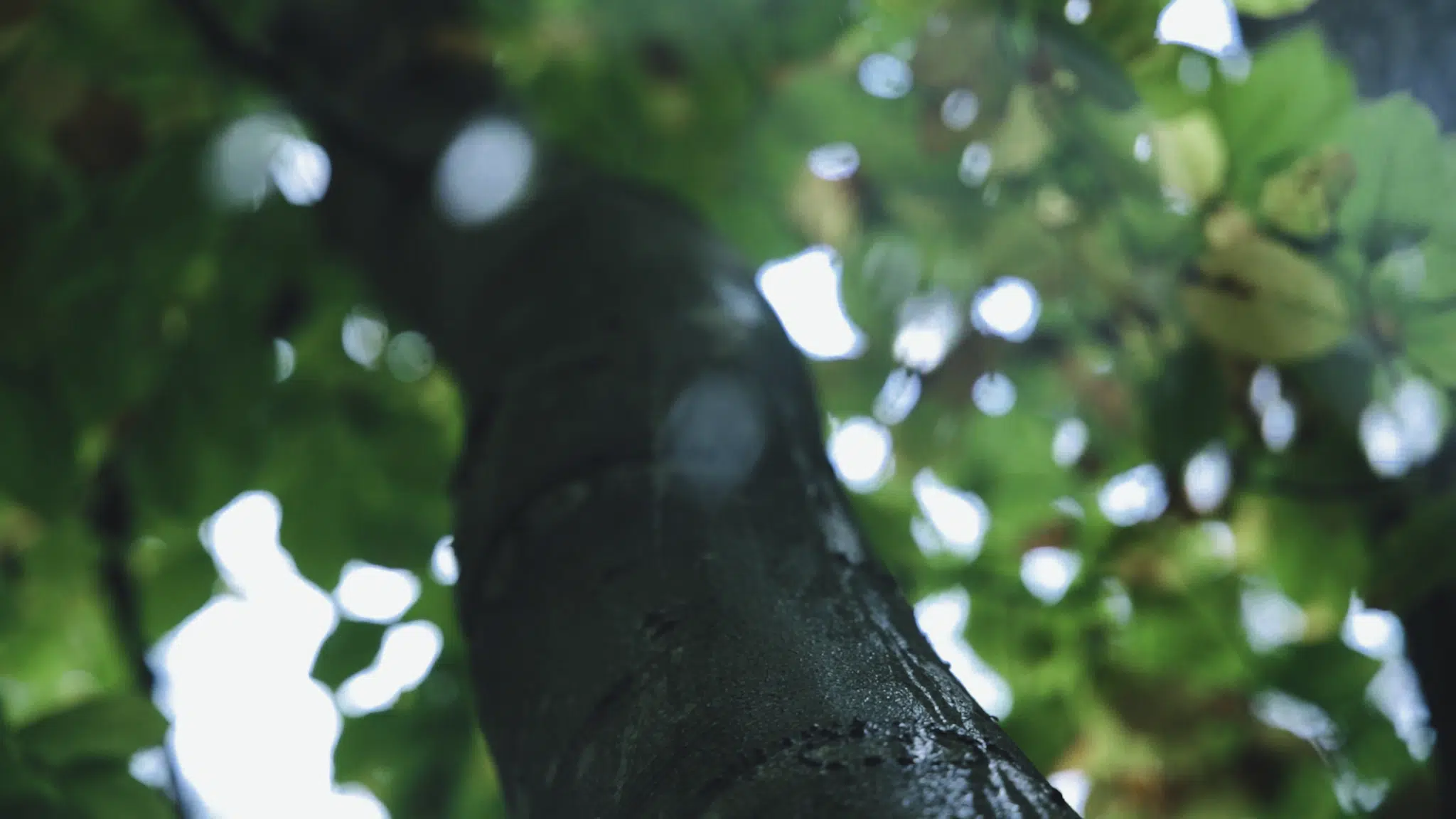 vlcsnap-2023-11-28-19h53m06s994